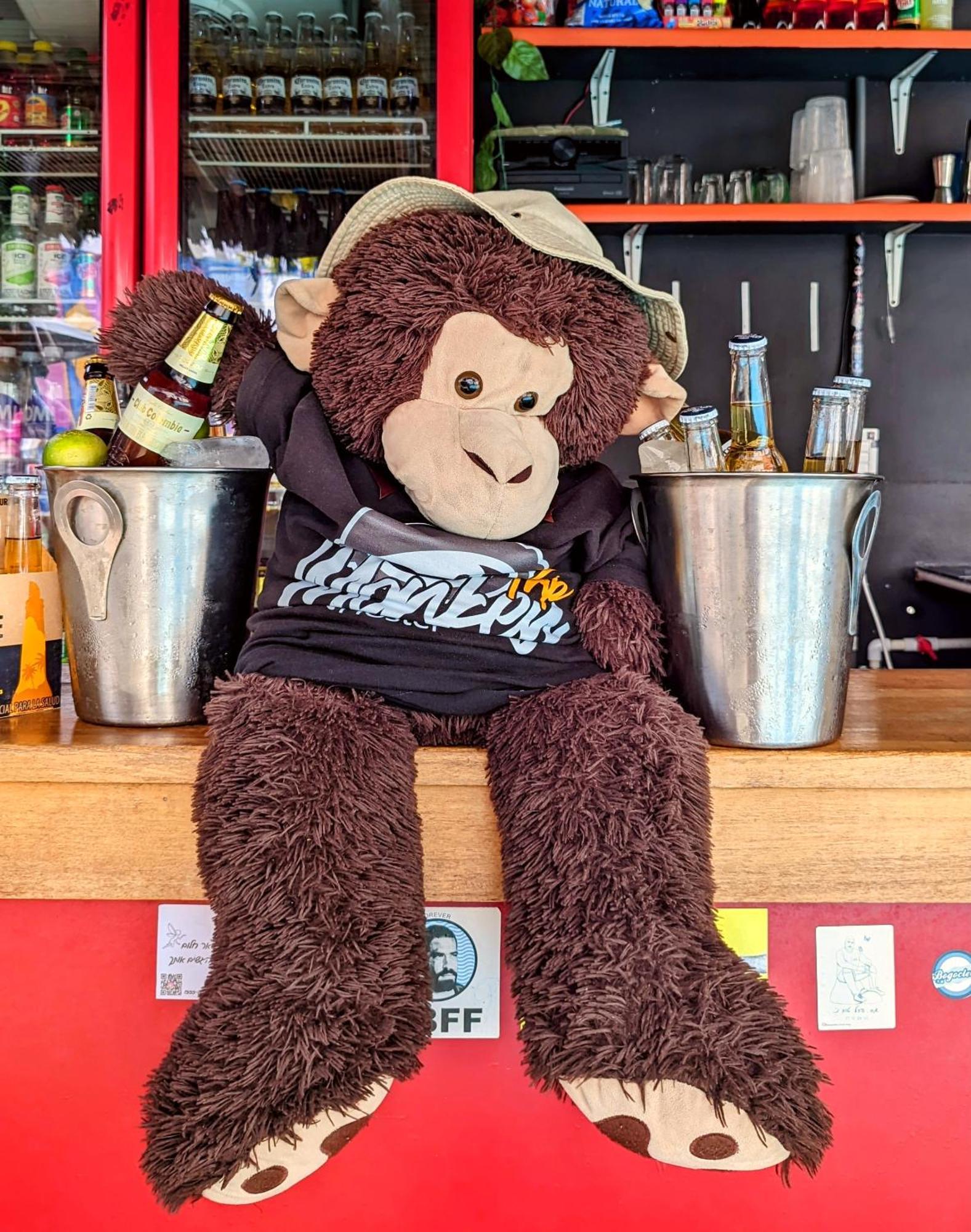 Hostel Trip Monkey San Gil Exterior foto
